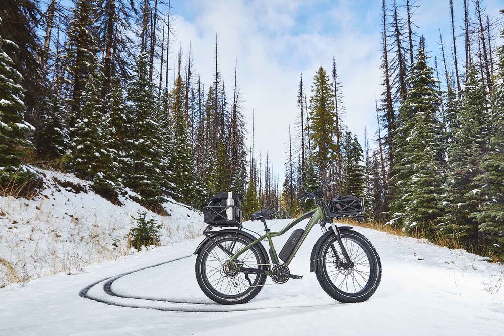 Photo: Rad Power Bikes