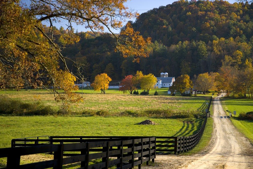 Reeb-Ranch-Entrance-Shoals-Farm-Road.jpg