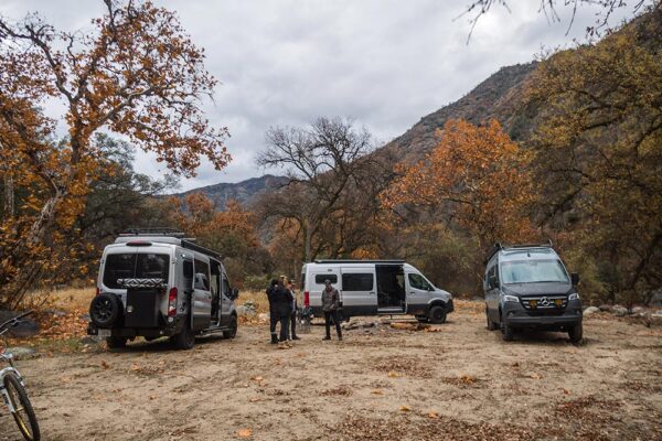 Three adventure vans camped out in the forest.