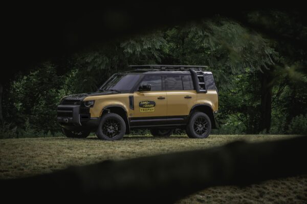 A Land Rover Defender framed between two branches.
