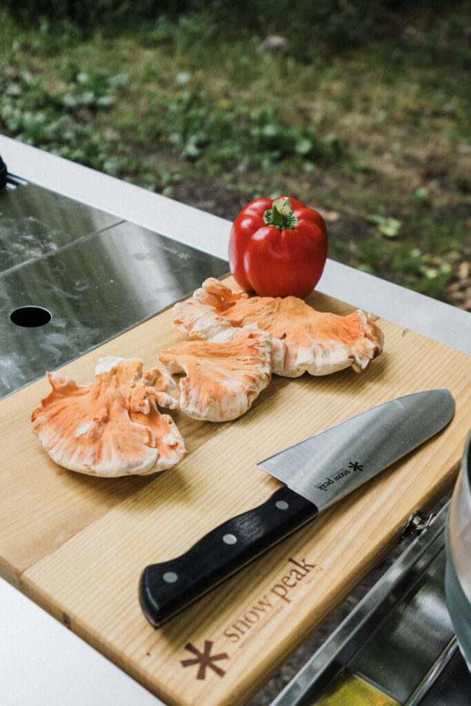 Snow Peak IGT Starter Set camp cooking set up for overlanding.